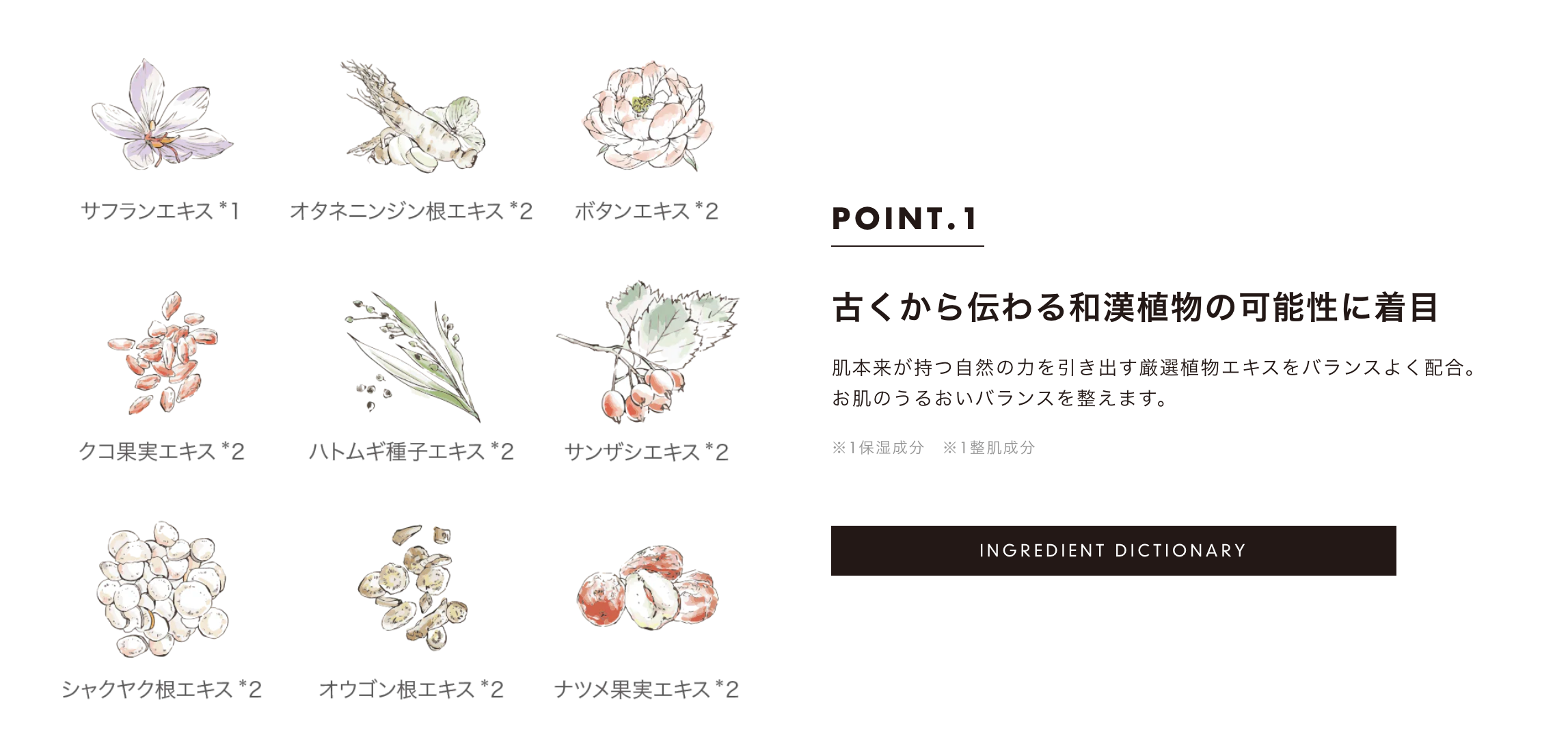 センシア ローション・ミルクセット